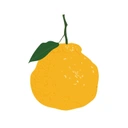轾悠