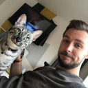 -你可能不是我的猫