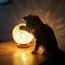 -辰